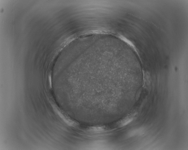 X0000060790061200512082134