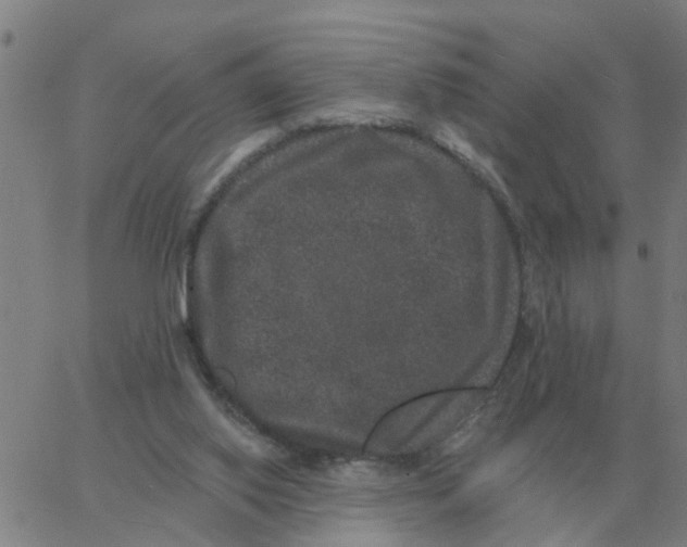 X0000060790062200512082134