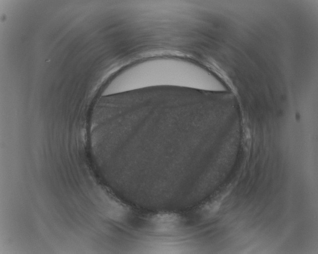 X0000060790063200512082134