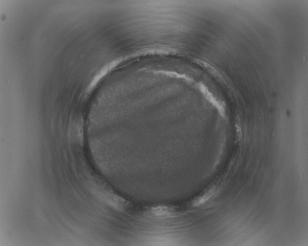 X0000060790064200512082134