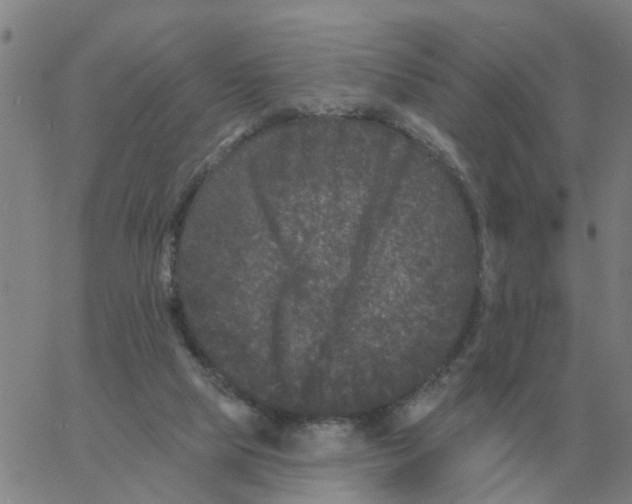 X0000060790065200512082134