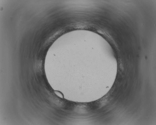 X0000060790066200512082134