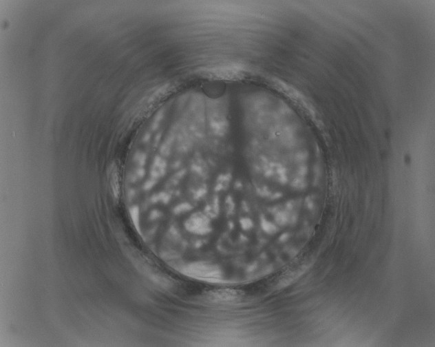 X0000060790069200512082135