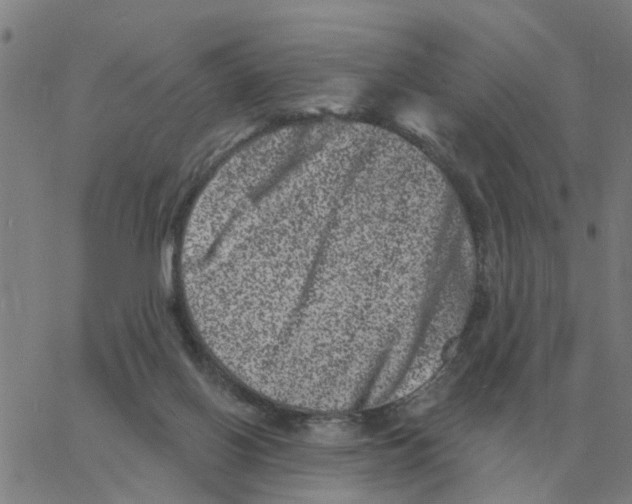 X0000060790070200512082135