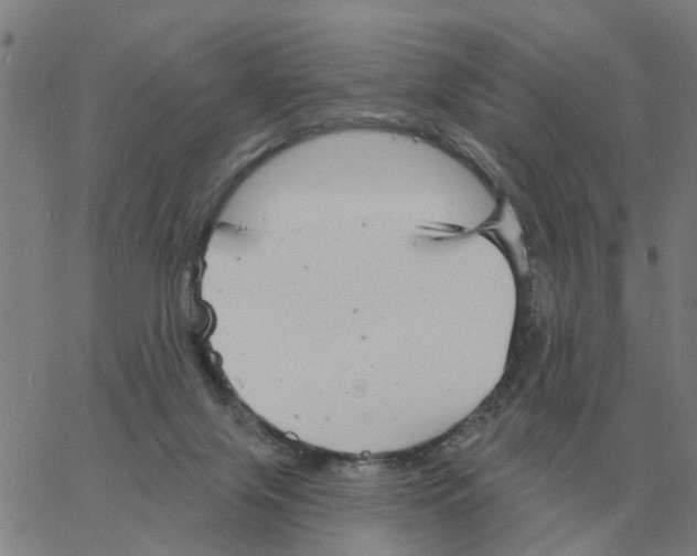 X0000060790071200512082135