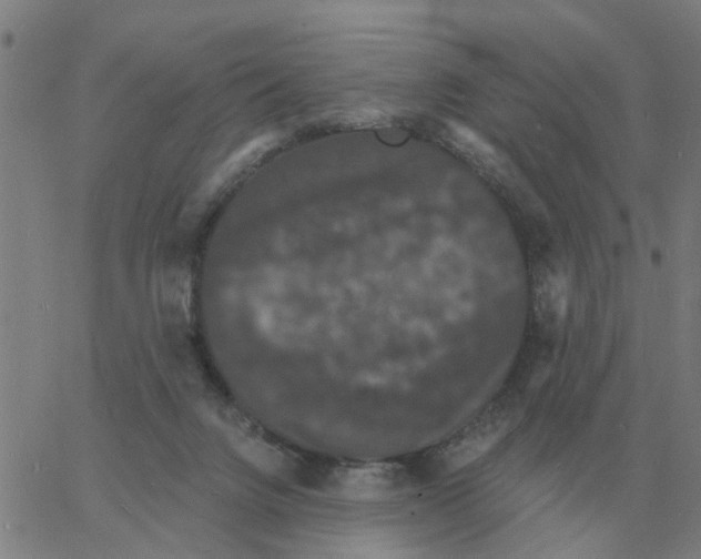 X0000060790072200512082135