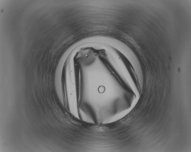 X0000060790073200512082135