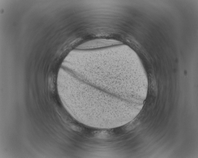 X0000060790074200512082135