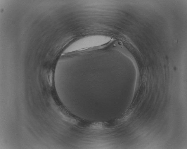 X0000060790076200512082135