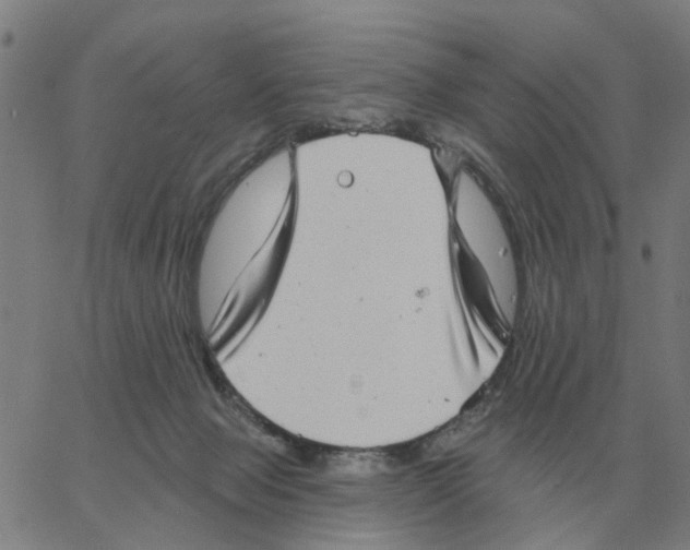 X0000060790077200512082135