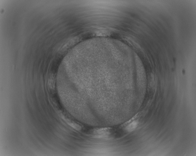 X0000060790078200512082135