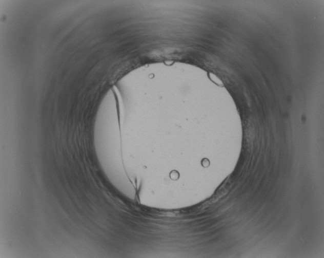 X0000060790079200512082135