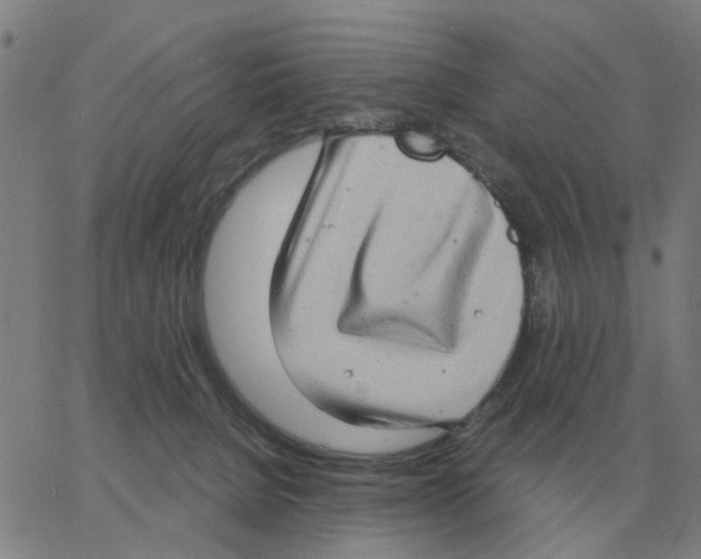 X0000060790080200512082135