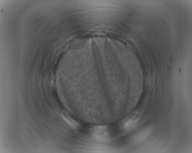 X0000060790081200512082135