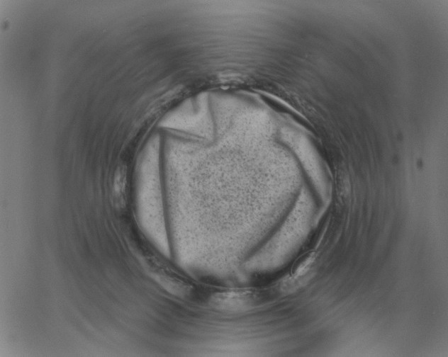 X0000060790082200512082135