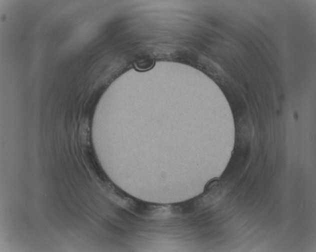 X0000060790083200512082135