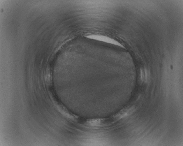 X0000060790084200512082135