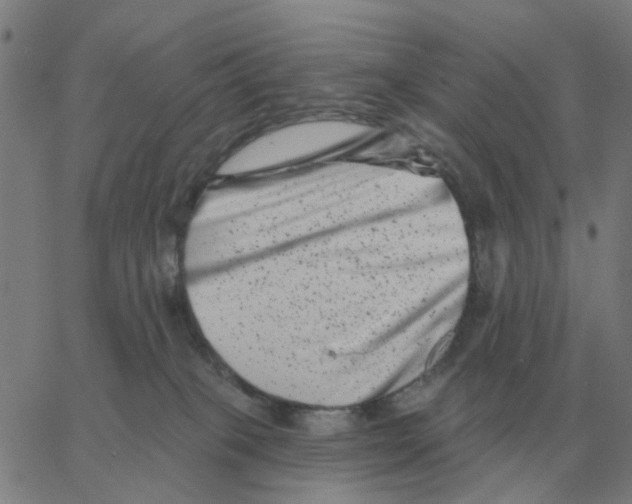 X0000060790085200512082135