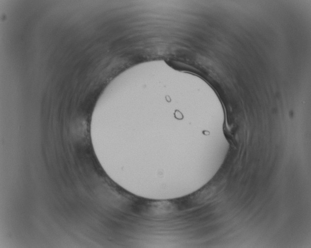 X0000060790087200512082135