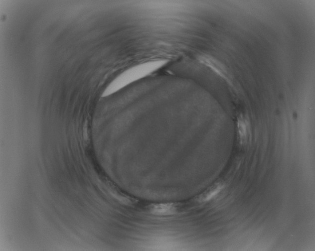 X0000060790088200512082135