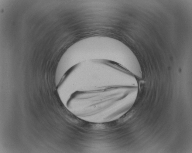 X0000060790091200512082135