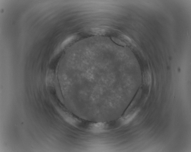 X0000060790092200512082135