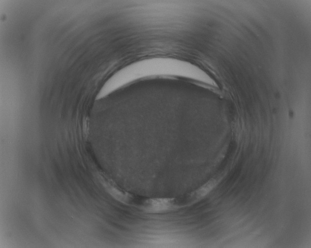 X0000060790093200512082135