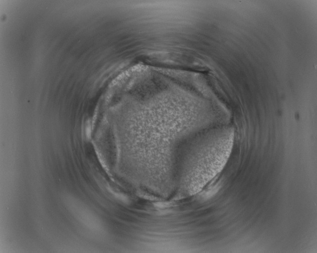 X0000060790095200512082135