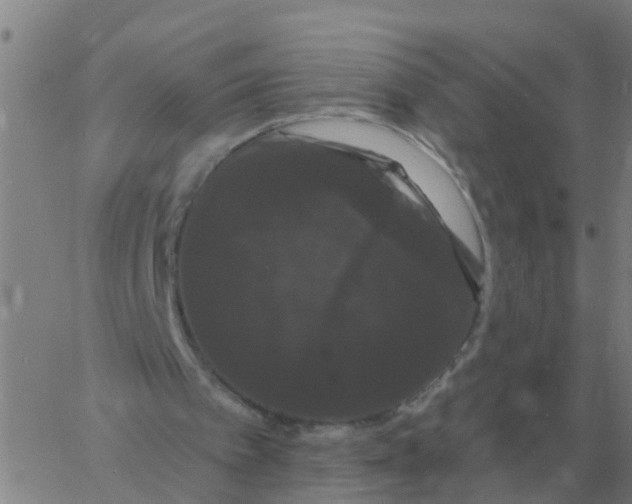 X0000060790097200512082134