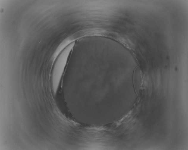 X0000060790099200512082134