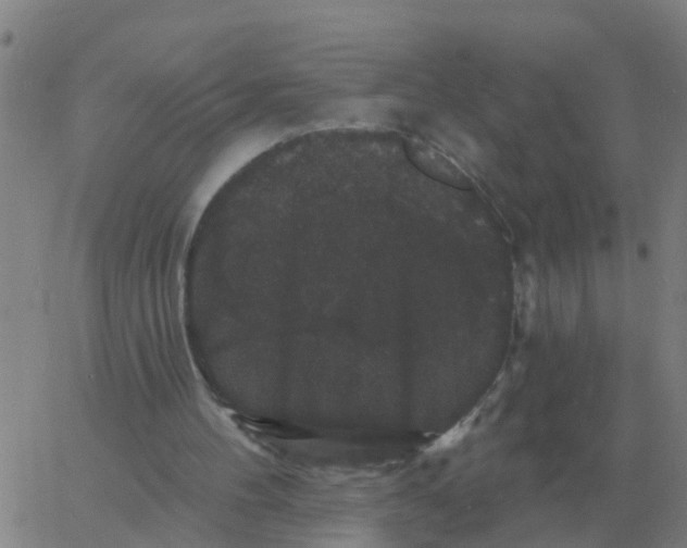 X0000060790100200512082134