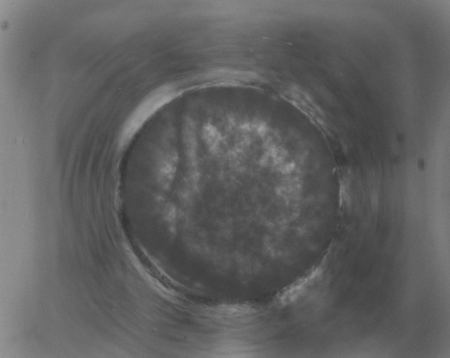 X0000060790101200512082134