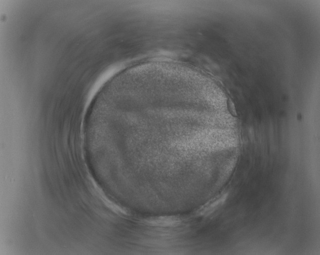 X0000060790102200512082134