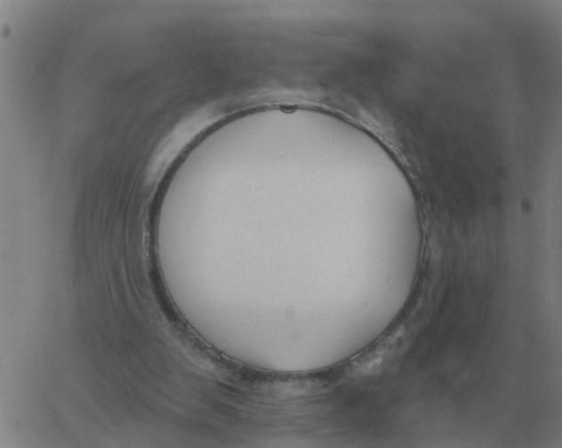 X0000060790103200512082134