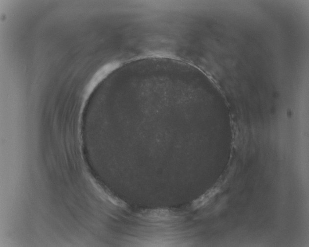 X0000060790104200512082134