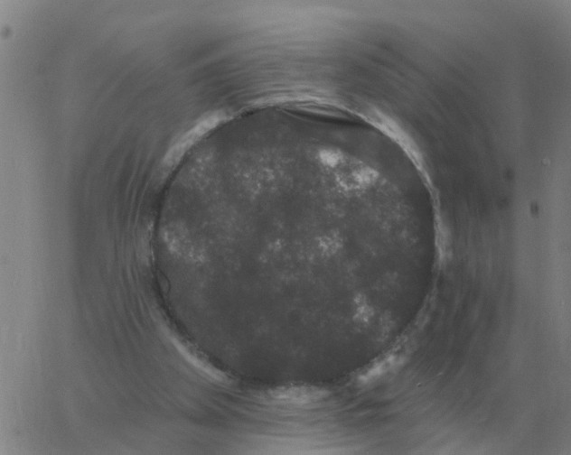 X0000060790105200512082134