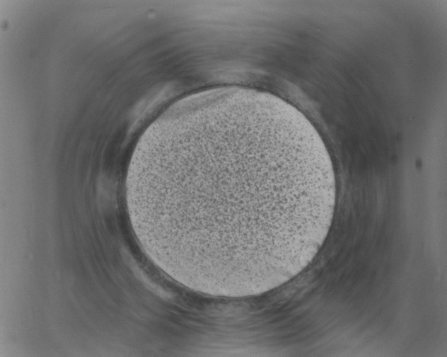 X0000060790106200512082134