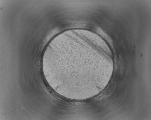 X0000060790107200512082134