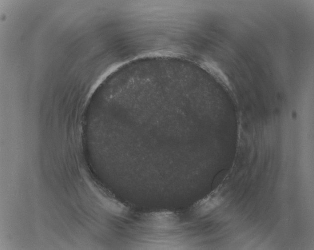 X0000060790108200512082134