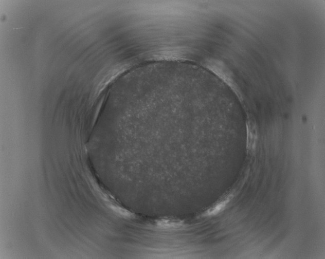 X0000060790109200512082134