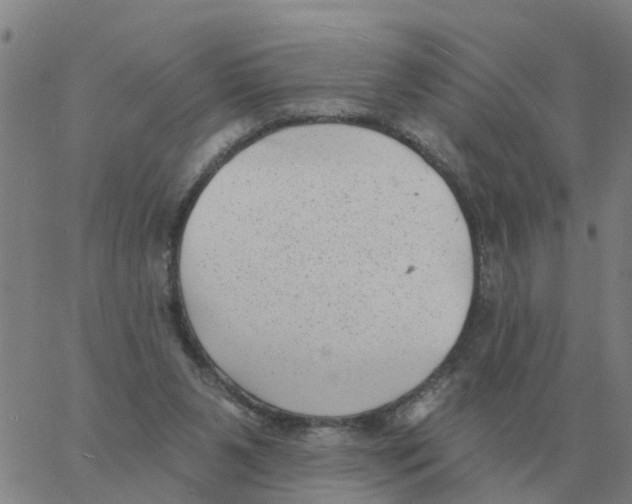 X0000060790111200512082134