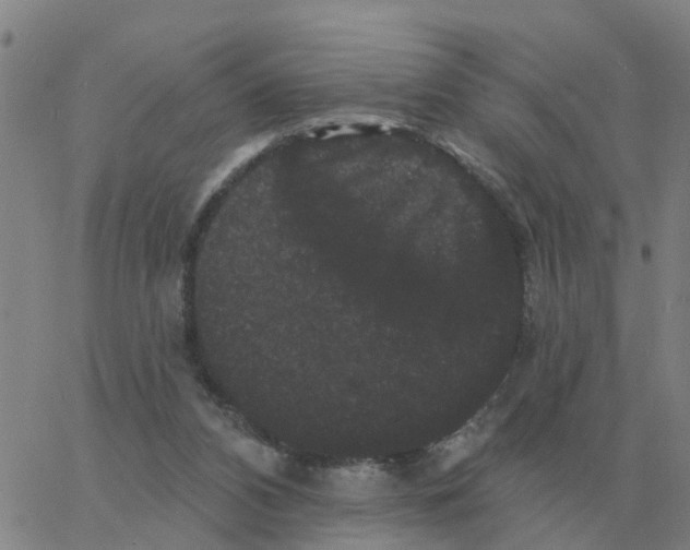 X0000060790112200512082134