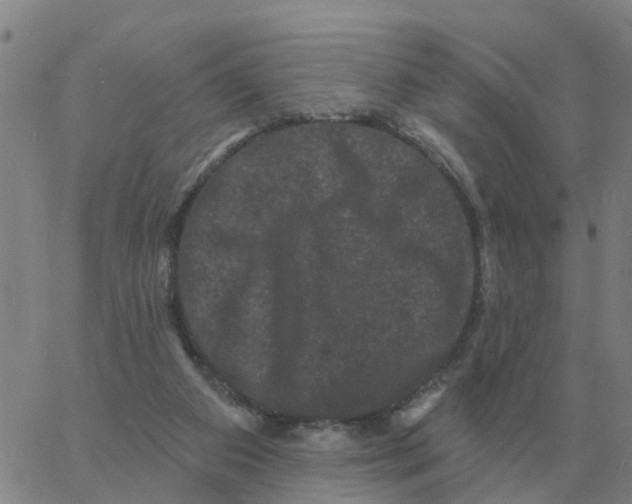 X0000060790113200512082134