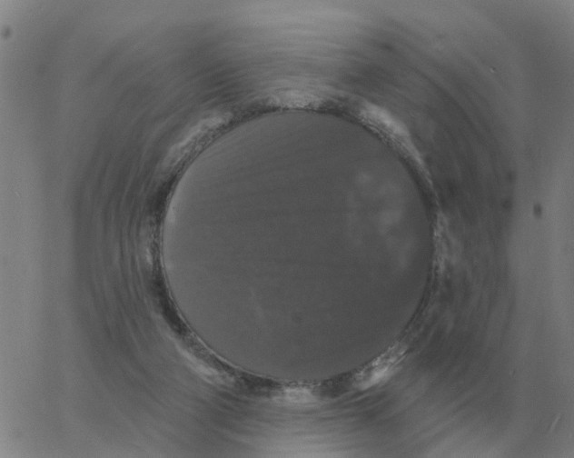 X0000060790114200512082134