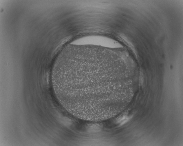 X0000060790115200512082134