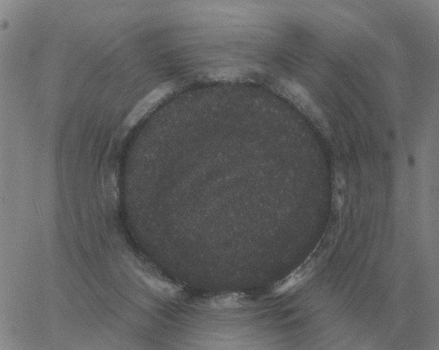 X0000060790116200512082134