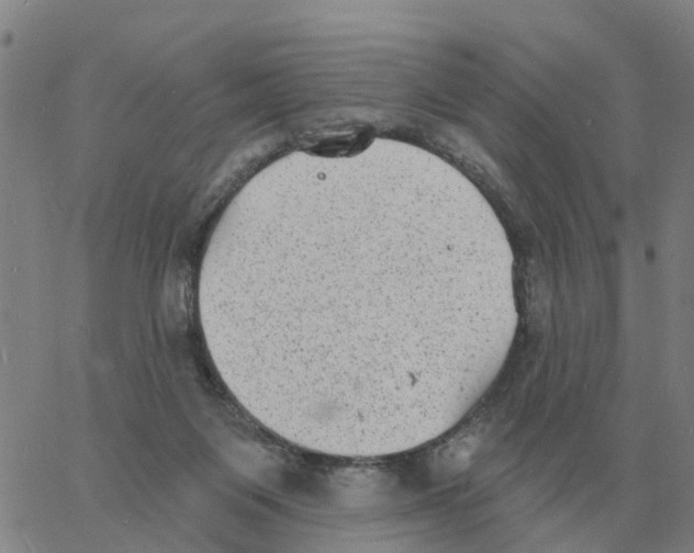 X0000060790119200512082134