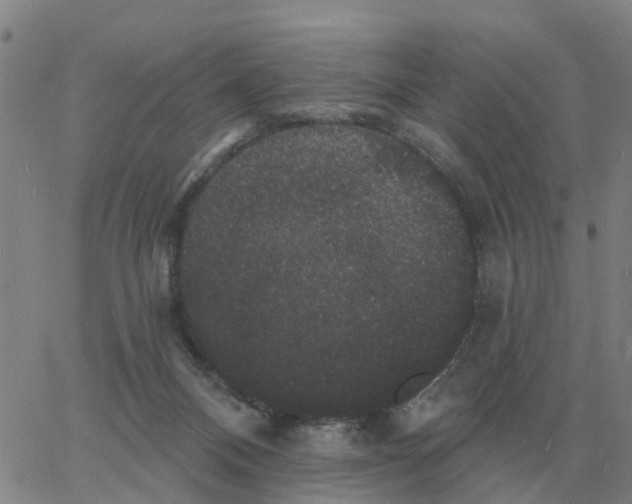 X0000060790120200512082134