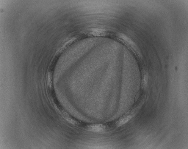 X0000060790121200512082134