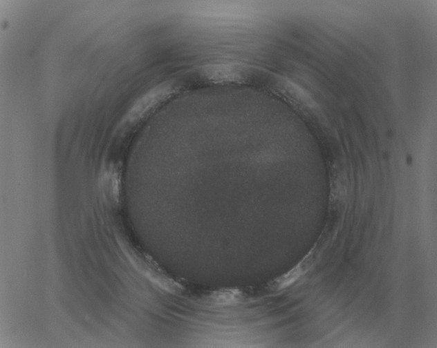 X0000060790124200512082134